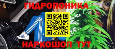 спиды Нарткала